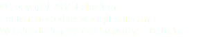 © Copyright 2015 Polonium
Content hosted by Maciej Konieczny
Website design created by Martyna Dębicka